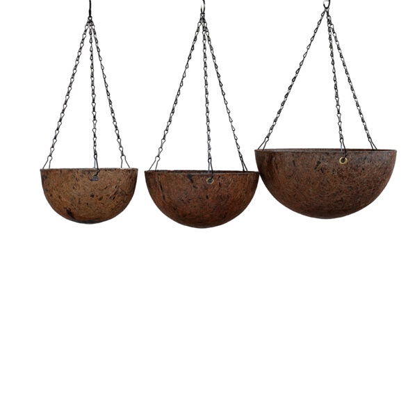 EnBasket - Image 4