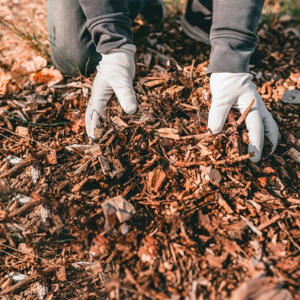EnMulch wud/ mulch
