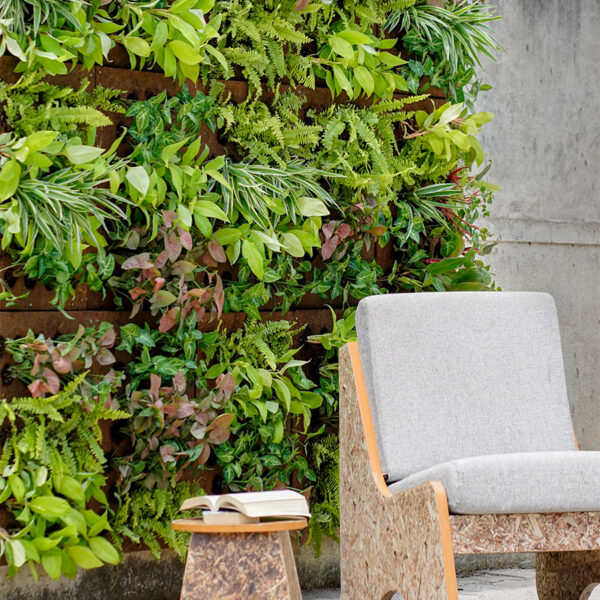 EnGreen Wall - Image 4