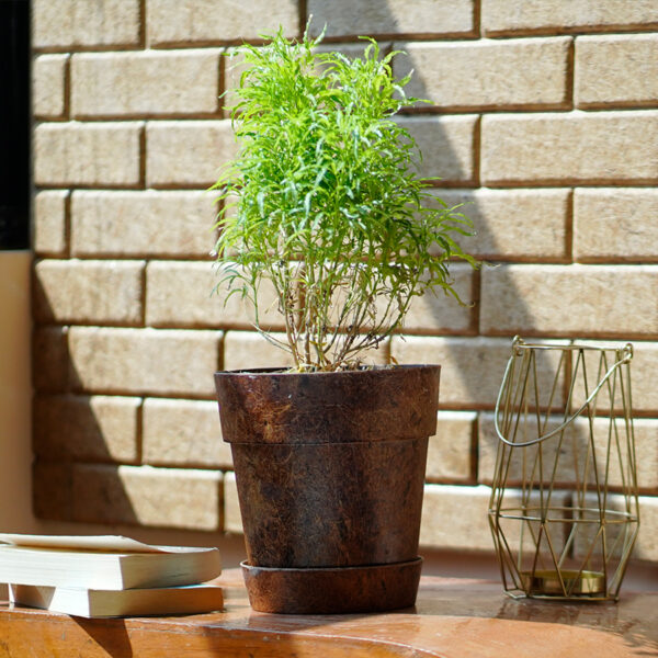 EnPot 4" - Image 6