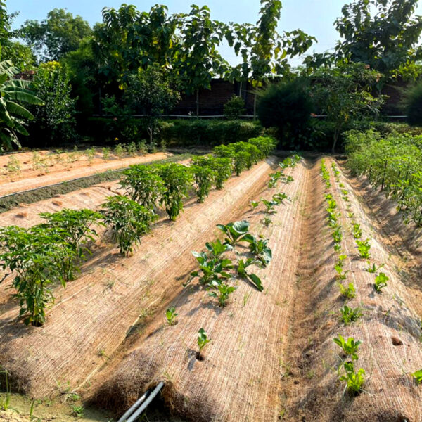 EnMulch Coir