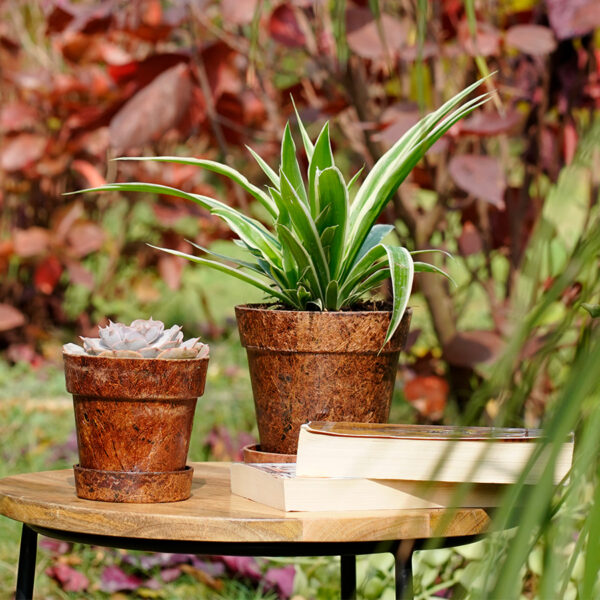 Sustainable pots by Enwud