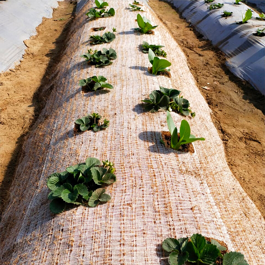 Coir mulch mat