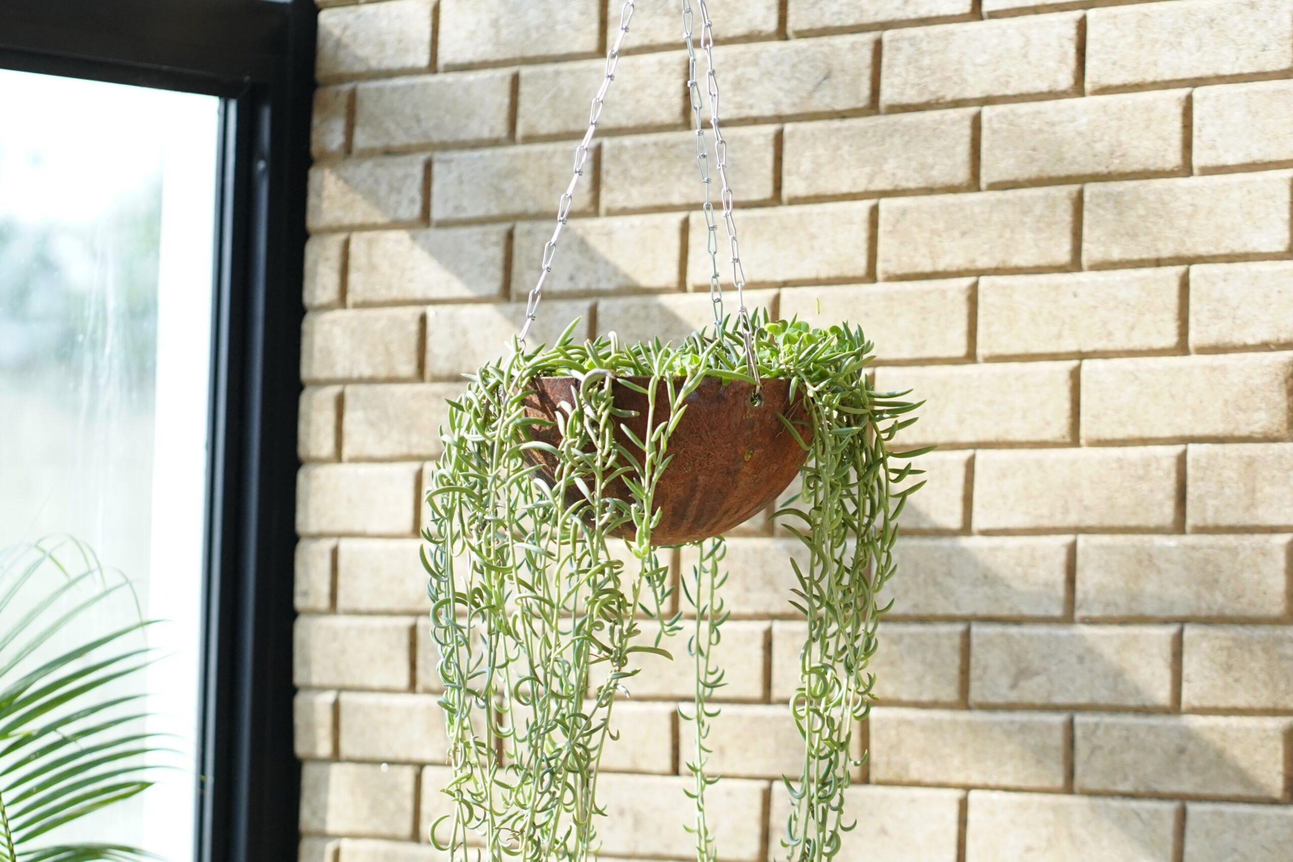 EnBasket 8″