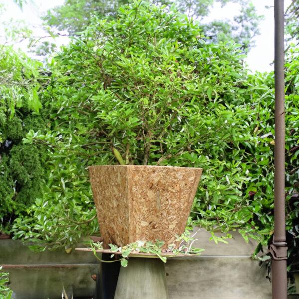 EnPlanter Box - Image 3