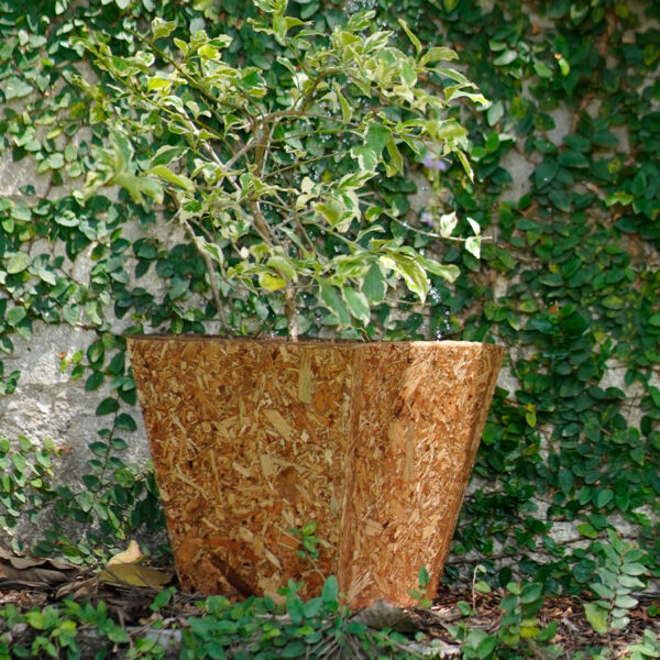 EnPlanter Box