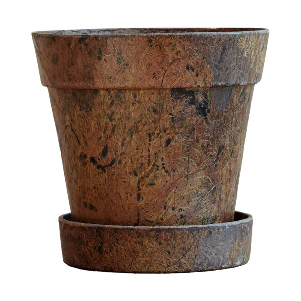 EnPot 4" - Image 3