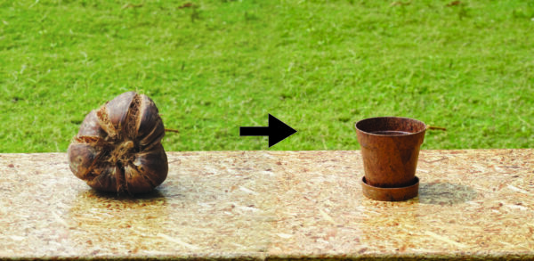 EnPot 4" - Image 7