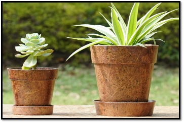 Eco-friendly gardening products by EnGardenware made from natural coir fibers